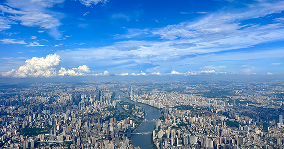 国内cn域名信息查询