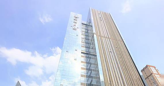 cn域名查询网址是多少