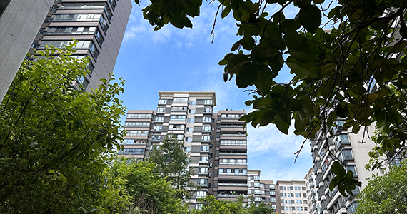 cn365wcom域名查询