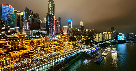 cn域名注册查询