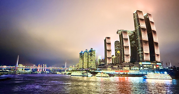 查询cn域名相关的IT服务