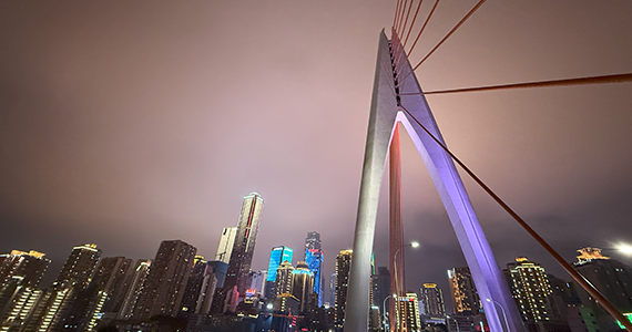 cn域名到期查询