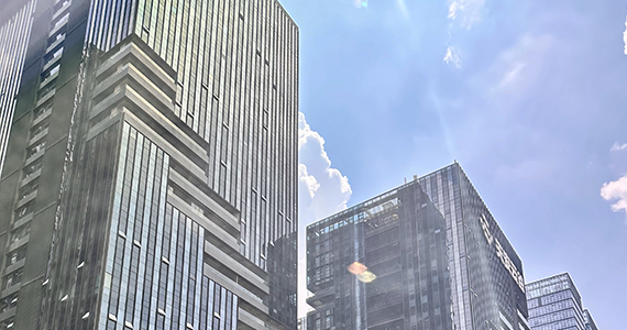 通过CNA查询域名